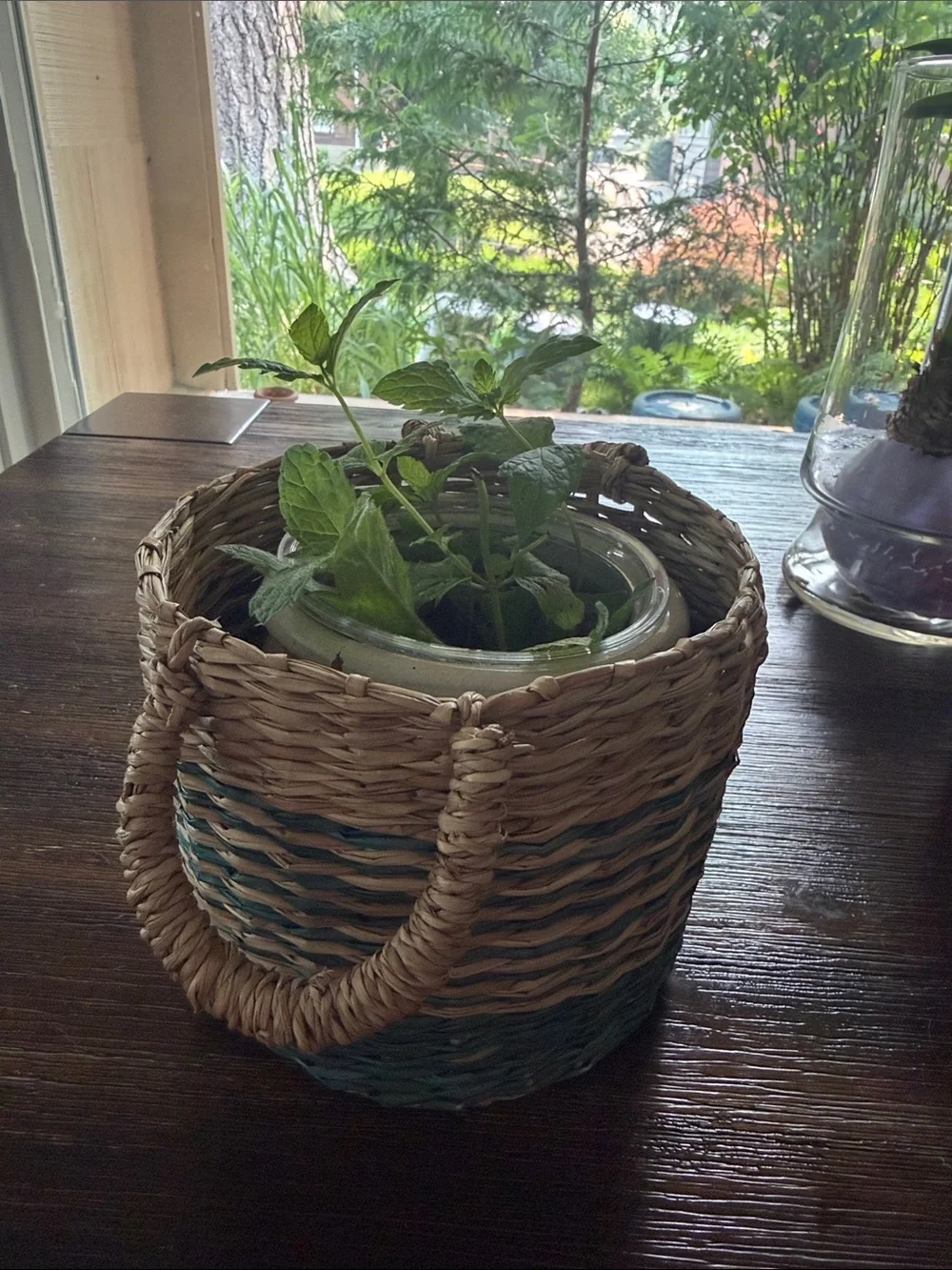 Mini- Handwoven Natural Woven Planter Basket - including pot for table